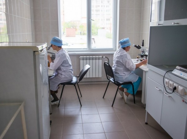 У 31 казанца за минувшие сутки диагностировали коронавирус