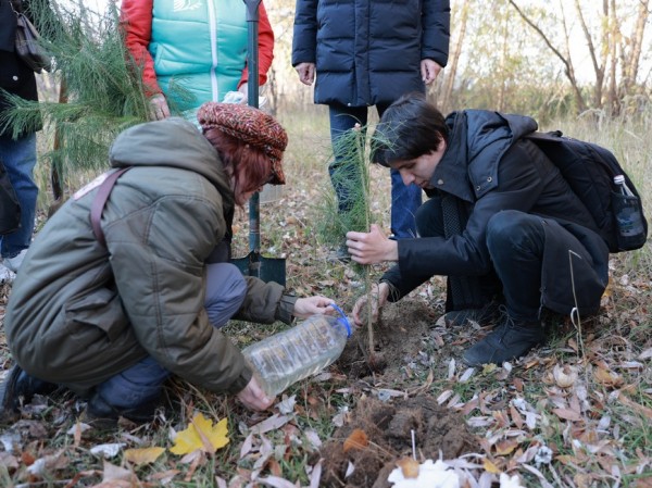 Более 50 саженцев сосны высадили на территории Русско-Немецкой Швейцарии