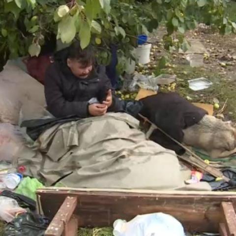 Инвалид, живший со своей собакой под яблоней в Казани, переехал в приют