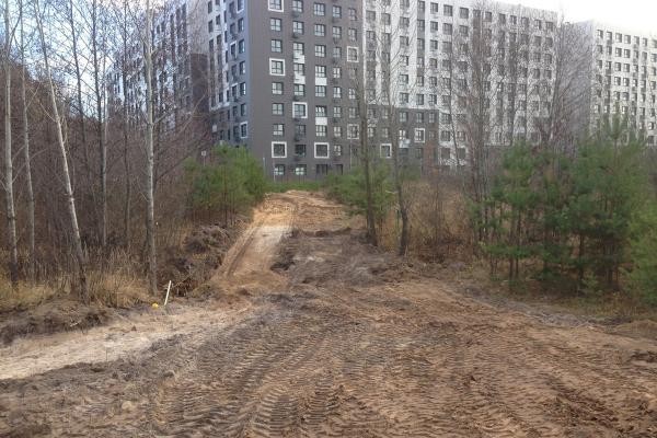 Привыкли руки к топорам: в Казани снова вырубают уникальный Солдатский лес