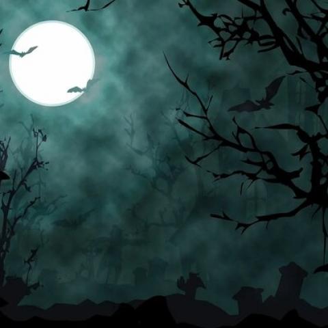 Блогер из Татарстана поручила участникам марафона лечь в могилу Блогер из Татарстана поручила участникам марафона лечь в могилу