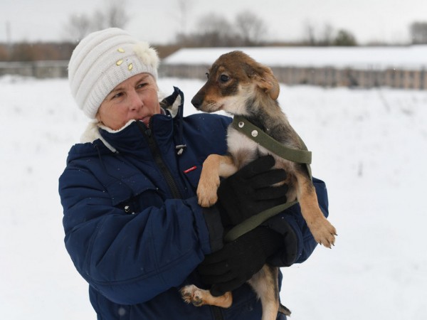 Топ-15 новостей недели: транспорт по QR-кодам, подзарядка для электромобилей и самый необычный детский сад