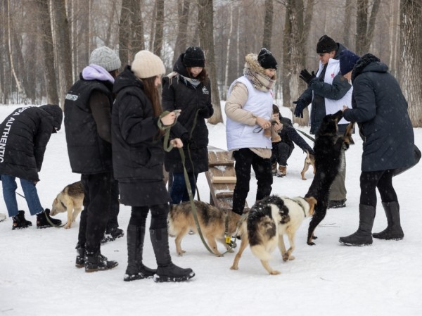 В парке &laquo;Крылья Советов&raquo; казанцы собрали для собак из приюта порядка 10 кг корма