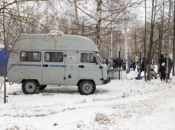 В парке &laquo;Крылья Советов&raquo; казанцы собрали для собак из приюта порядка 10 кг корма