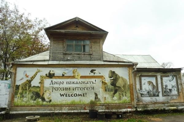 &laquo;Она сама упала&raquo;: в исторической части казанского зооботсада умудрились срубить 135-летнюю лиственницу
