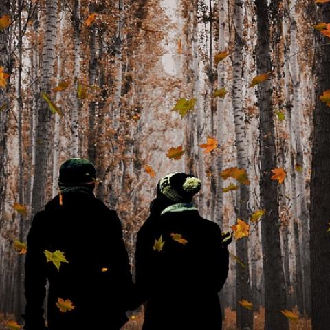 Что ждет россиян в ноябре 2021 года