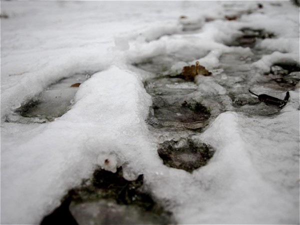 Мокрый снег и гололедица ожидаются в Казани