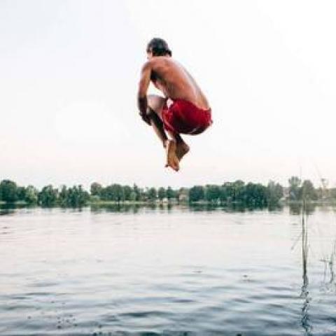 Мужчина, спасаясь от пчёл, прыгнул в озеро и был съеден пираньями Мужчина, спасаясь от пчёл, прыгнул в озеро и был съеден пираньями