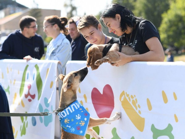 Казанцев приглашают на благотворительную акцию «Лапа дружбы» в парке «Крылья Советов» Казанцев приглашают на благотворительную акцию «Лапа дружбы» в парке «Крылья Советов»