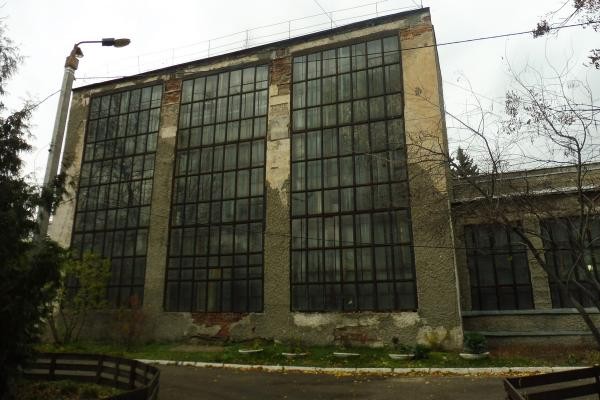 &laquo;Она сама упала&raquo;: в исторической части казанского зооботсада умудрились срубить 135-летнюю лиственницу