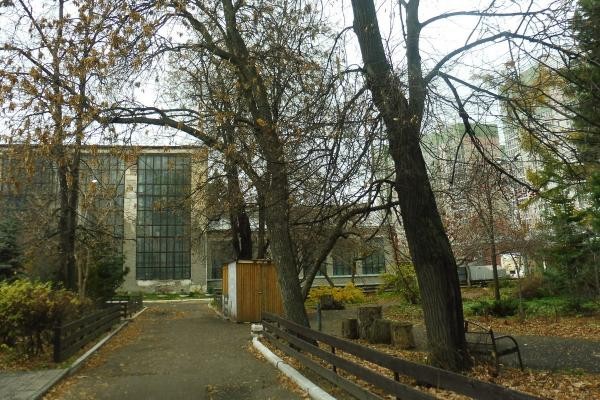 &laquo;Она сама упала&raquo;: в исторической части казанского зооботсада умудрились срубить 135-летнюю лиственницу