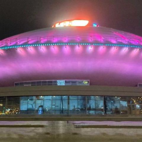 &laquo;Нервы сдали&raquo;: директор Казанского цирка объяснил агрессивное поведение