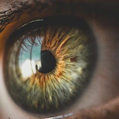 Уроженец Башкирии вырезал жертве глаза и оставил умирать