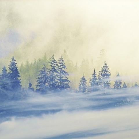 Женщина потерялась во время метели и замерзла насмерть