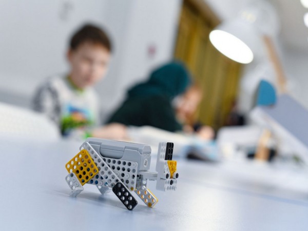 И.Метшин: &laquo;Мы хотим, чтобы Казань в инклюзивном образовании отвечала мировым стандартам&raquo;