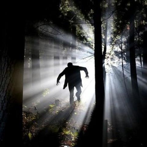 В Башкирии экс-работник ритуальной службы убил знакомого и спрятал тело в чужую могилу В Башкирии экс-работник ритуальной службы убил знакомого и спрятал тело в чужую могилу