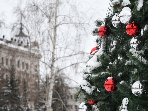 Топ-15 новостей недели: где купить новогоднюю ель, когда откроется спорткомплекс для людей с ОВЗ, и каков бюджет на 2022 год