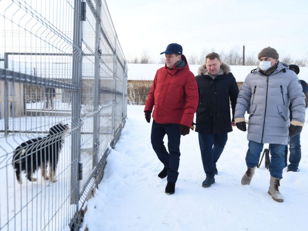 Первый в Казани собачий &laquo;детский сад&raquo; и карантинный блок появились в &laquo;Зооцентре&raquo;