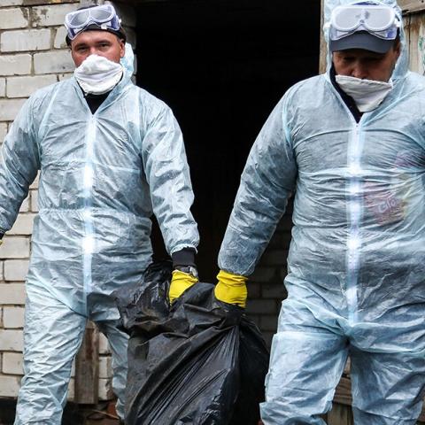 «Не могу зайти в курятник, душа болит...» «Не могу зайти в курятник, душа болит...»