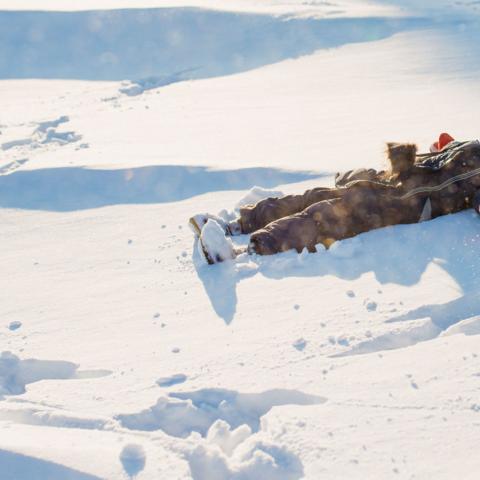 В Москве ребенок-лунатик босиком дошел до школы в мороз В Москве ребенок-лунатик босиком дошел до школы в мороз