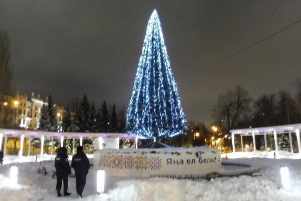 &laquo;Зазаборенные&raquo; елки Казани: вход - через КПП, главное развлечение - еда