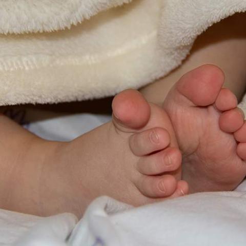 Коробку с новорожденной девочкой нашли возле российской трассы