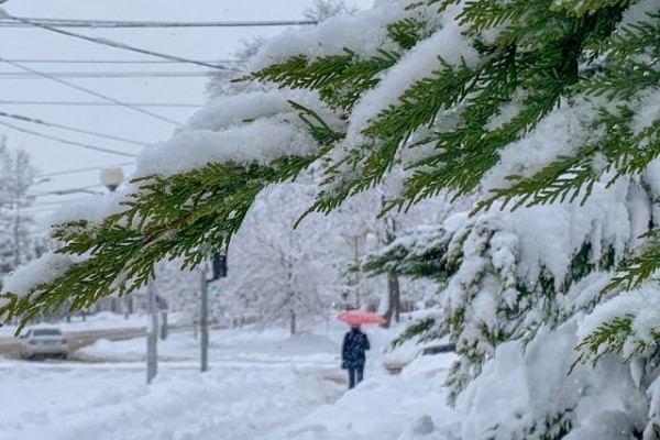 В Татарстане в начале недели будет тепло и снежно