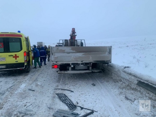 Два пассажира минивэна погибли в столкновении с грузовым краном на трассе в Татарстане (ФОТО, ВИДЕО)