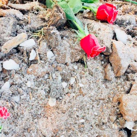 &laquo;Какая чушь!&raquo;: жители Мелекеса не верят, что Тимур Прохоров убил жену и ее сестру