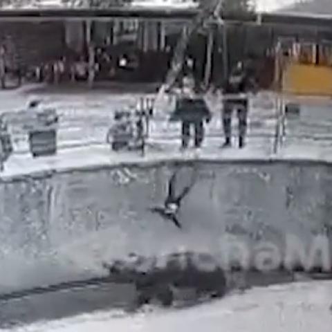 Опубликовано ВИДЕО того, как мать бросает дочь в вольер к медведю