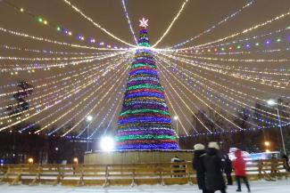 &laquo;Зазаборенные&raquo; елки Казани: вход - через КПП, главное развлечение - еда