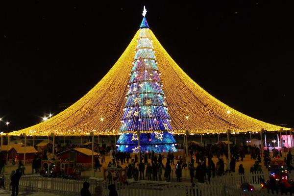 &laquo;Зазаборенные&raquo; елки Казани: вход - через КПП, главное развлечение - еда