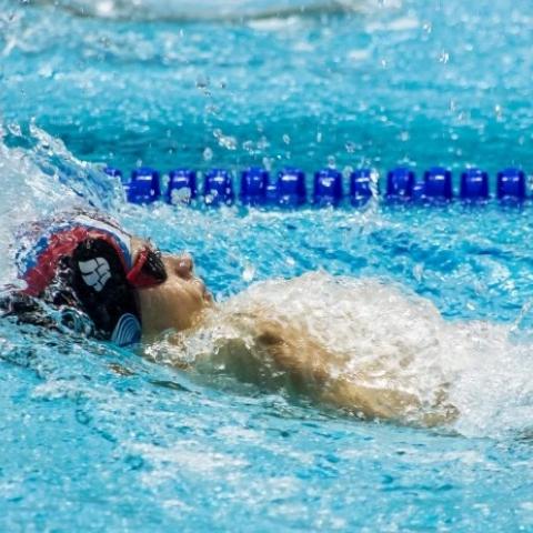 Этапы Мировой серии по синхронному плаванию и прыжкам в воду в Казани отменены