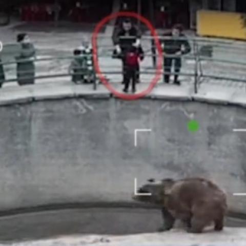 Бросившая дочь в вольер к медведю женщина объяснила свой поступок