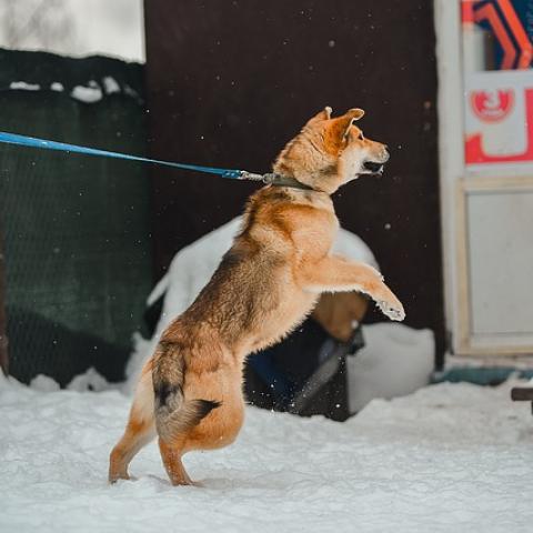 На улице Мусина в Казани нашли торчащую из–под снега ногу, а затем и все тело На улице Мусина в Казани нашли торчащую из–под снега ногу, а затем и все тело