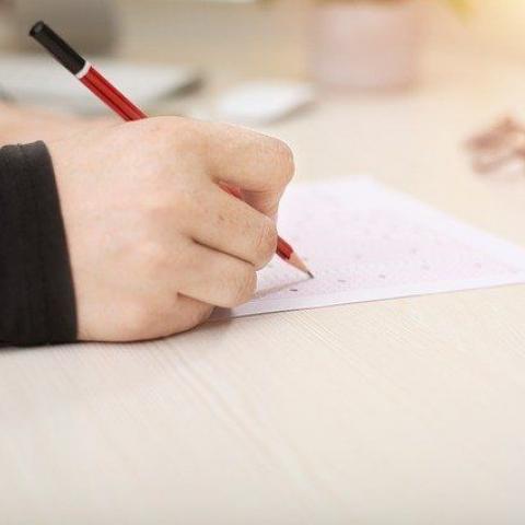 В Татарстане проверочные работы для школьников перенесли с весны на осень