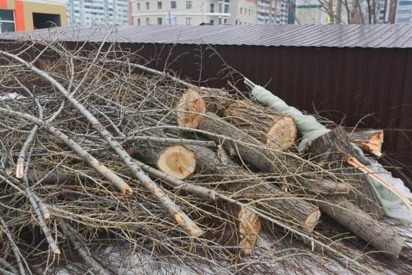 &laquo;А нас почему не спросили?&raquo;: в Казани жильцы многоэтажек продолжают воевать из-за парковок и деревьев во дворах