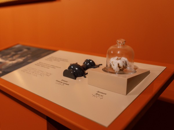 Выставка &laquo;Золотой век фламандского искусства&raquo;: картины в исторической раме, музейные ароматы и 10-тысячный посетитель