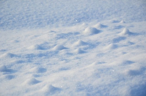 Сильные морозы ударят в Татарстане Сильные морозы ударят в Татарстане