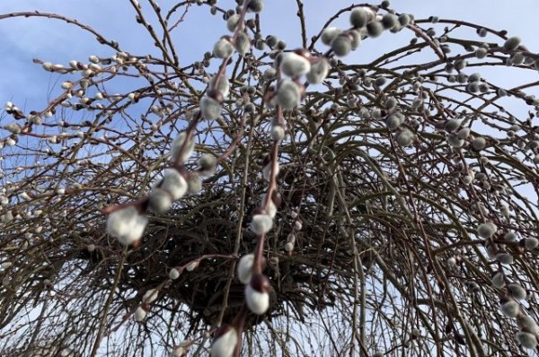 В Татарстане ожидается повышение температурного фона до +7 градусов