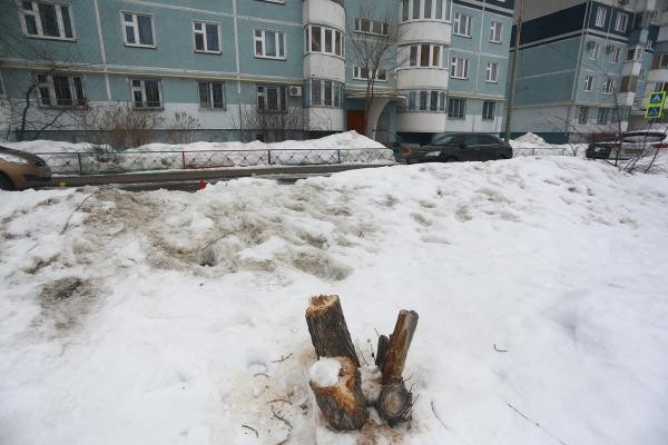 &laquo;А нас почему не спросили?&raquo;: в Казани жильцы многоэтажек продолжают воевать из-за парковок и деревьев во дворах