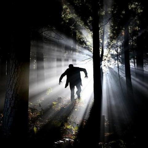 Жители Казани заявили, что неизвестный ежедневно гуляет голым возле школы