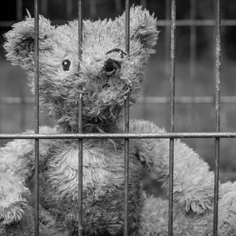 &laquo;Мы убили детей. Иди посмотри&raquo;: подробности убийства детей под Воронежем