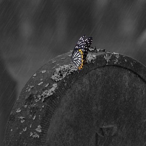 25-летний парень погиб во время уборки могилы