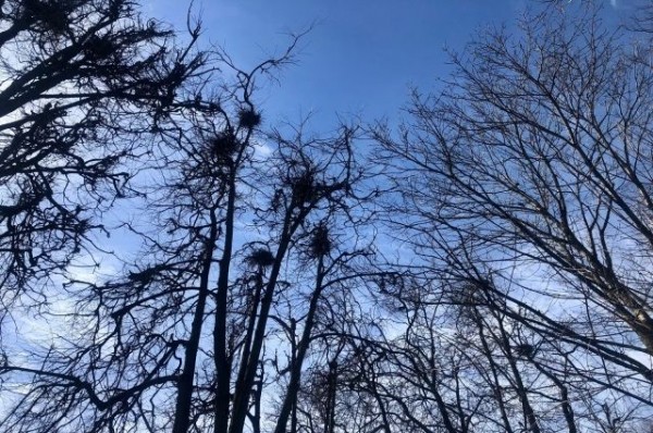 Татарстанцы смогут проголосовать за объекты благоустройства в 2023 году