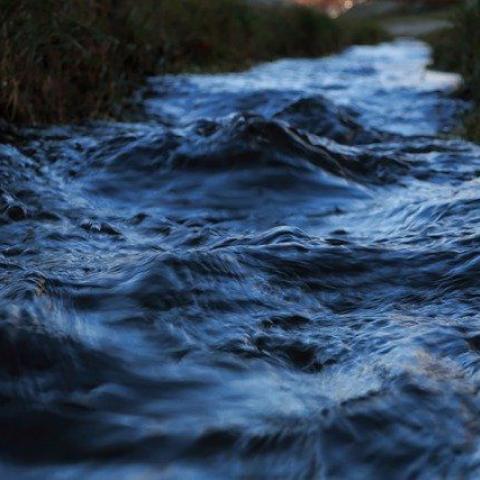 В Бугульме трое мужчин утопили в реке местную жительницу