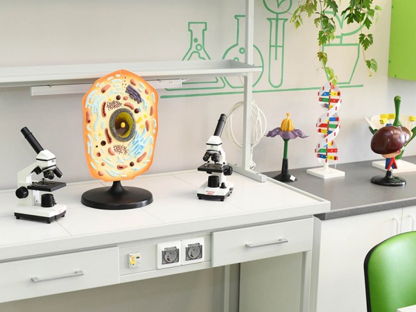 Почти 18 тысяч выпускников казанских школ сдали первые экзамены