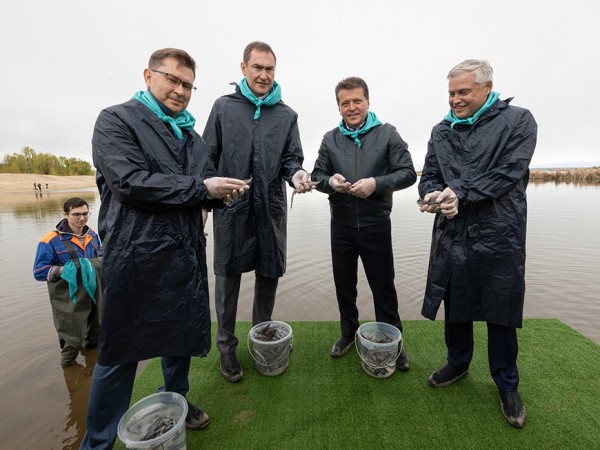 В Казани в День Волги в реку выпустили 3 тысячи мальков стерляди и взяли пробы воды