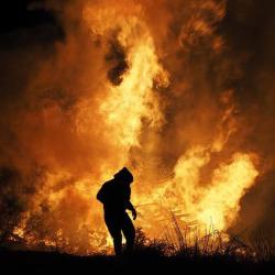 Россиянин зарезал мать, а затем вместе с сестрой и братом сжег ее тело