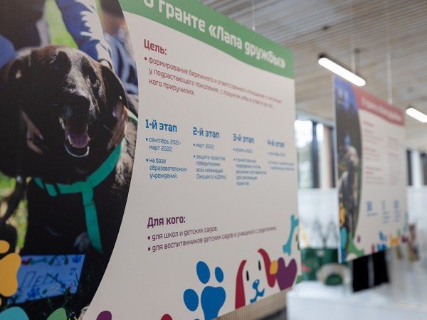 Мэр Казани наградил победителей городского конкурса «Лапа дружбы» Мэр Казани наградил победителей городского конкурса «Лапа дружбы»